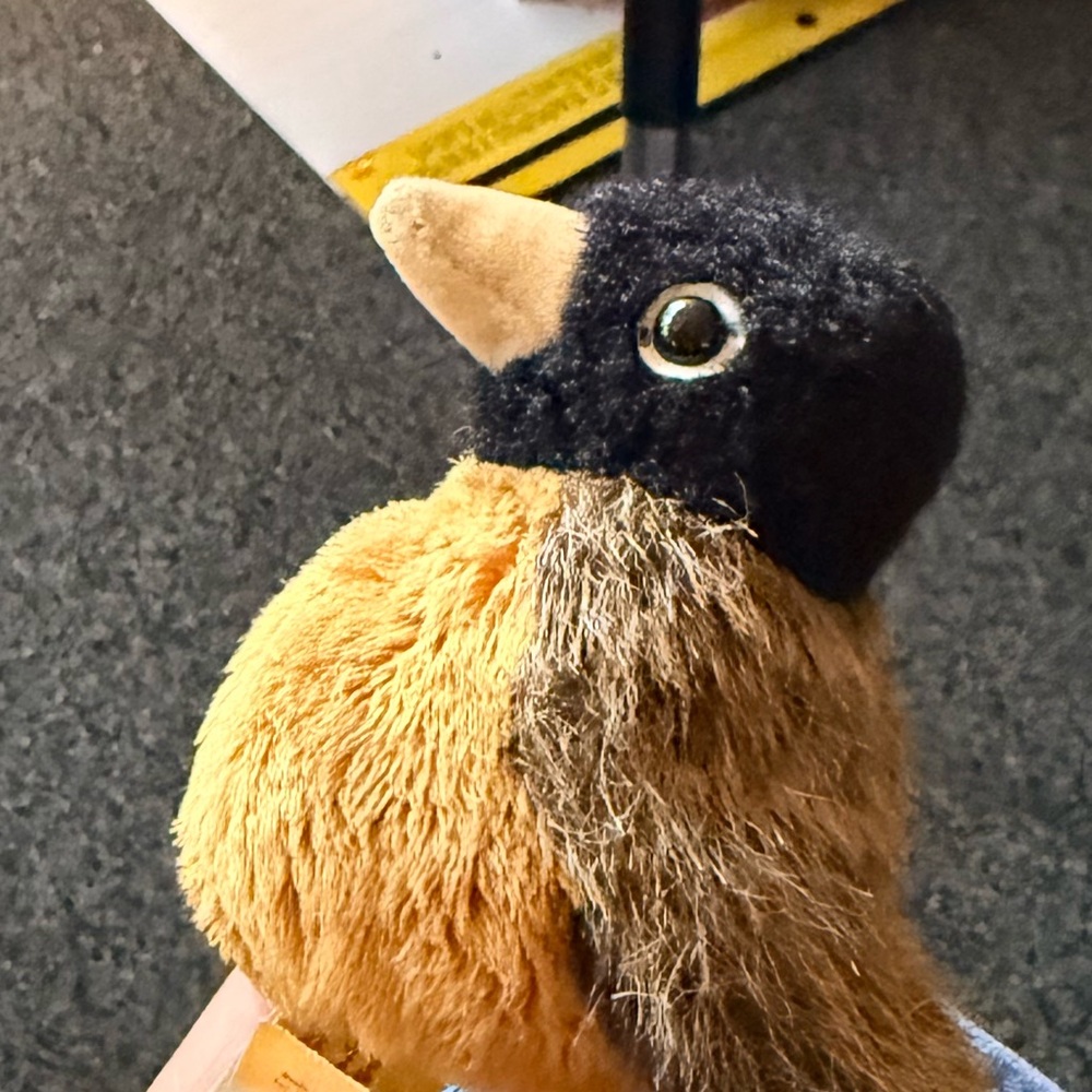 Folkmanis robin finger puppet Mini Robin Plush Toy